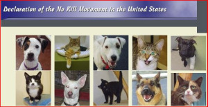 No kill movement No kill movement
