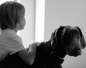 Boy with dog