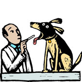 Dog Vaccinations