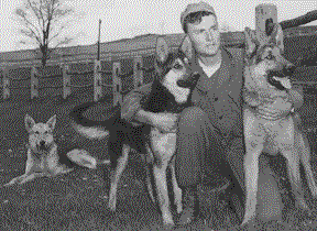 Military Working Dogs